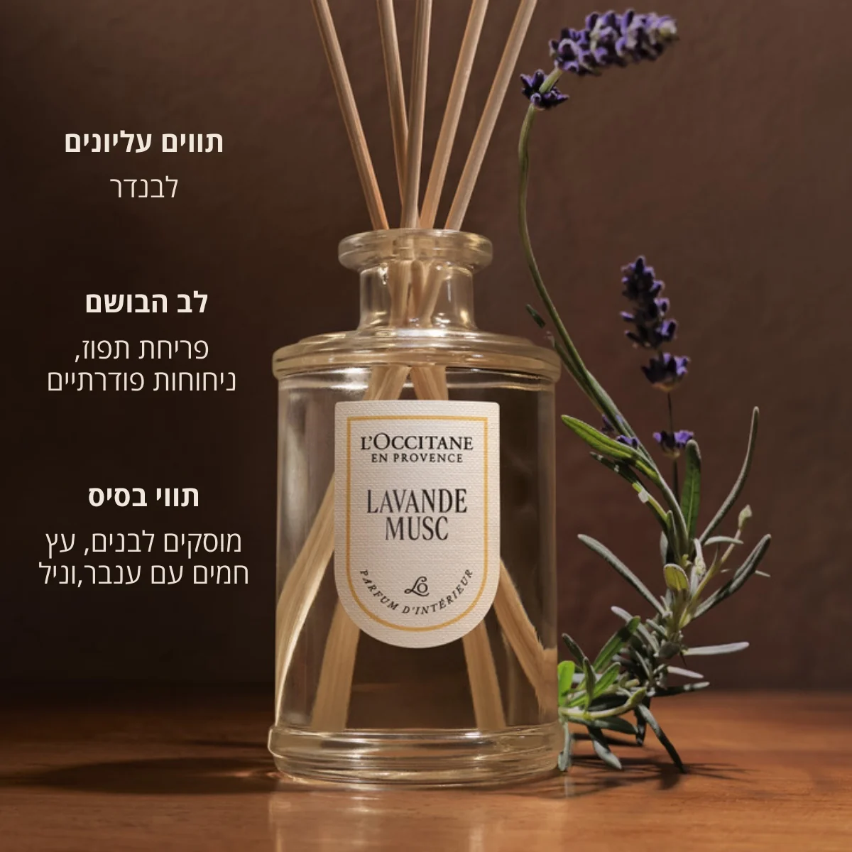 תמונה ממוזערת 2
