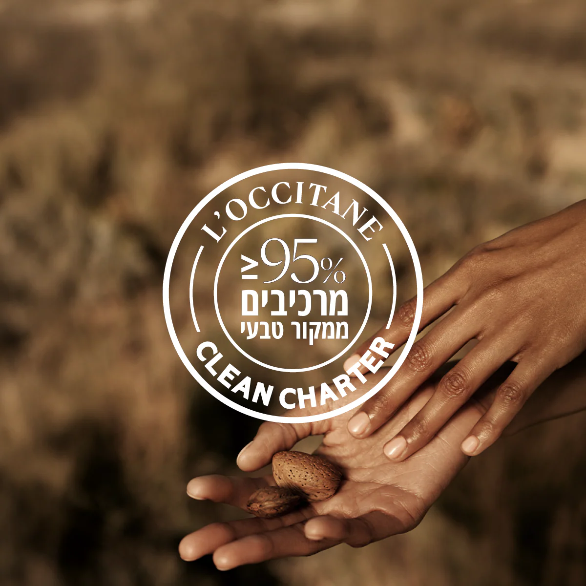 שמן גוף מזין שקדים אריזת מילוי - Image 4