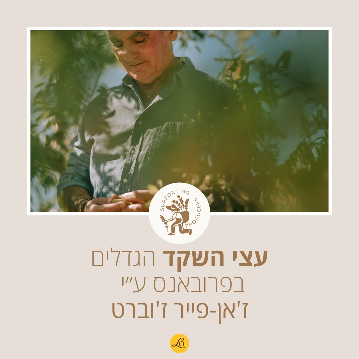 מארז שקדים לרחצה והזנת העור - Image 4