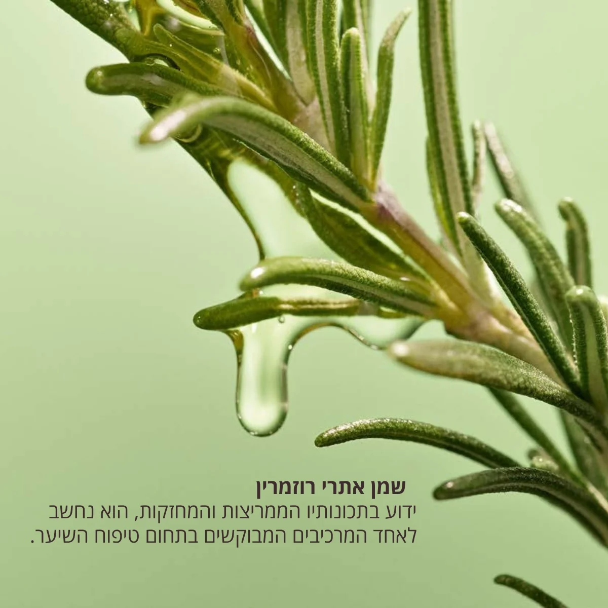 סרום למניעת נשירת שיער - Image 10