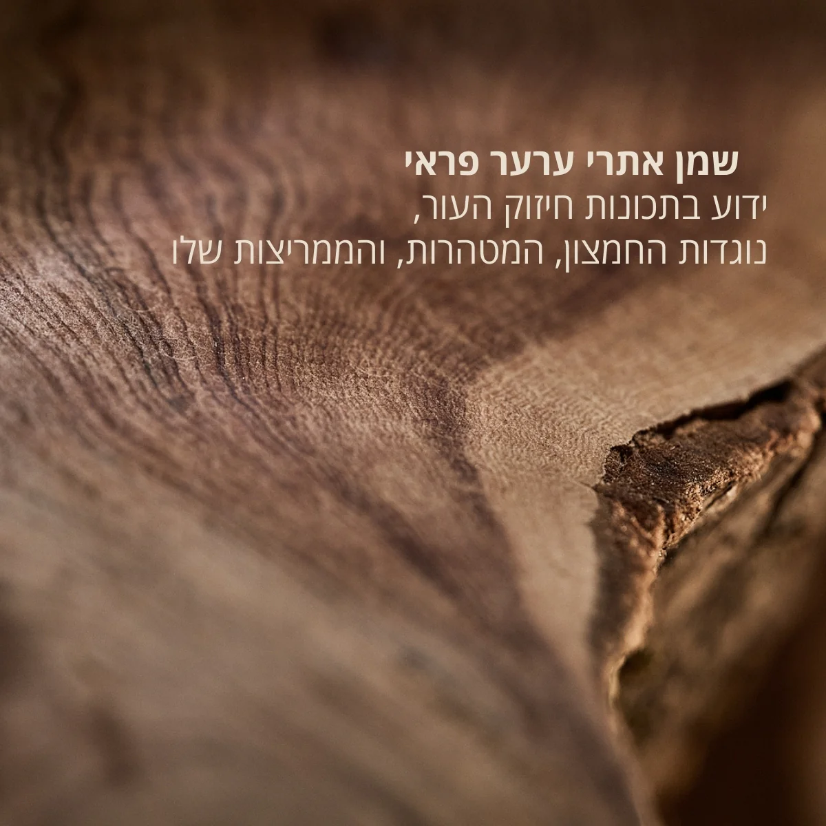 קרם פנים ממריץ ערער פראי - Image 3