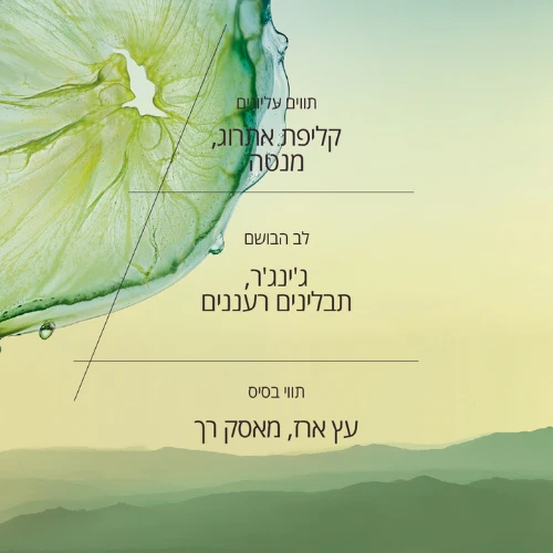 ג'ל רחצה מבושם בניחוח אתרוג - Image 4