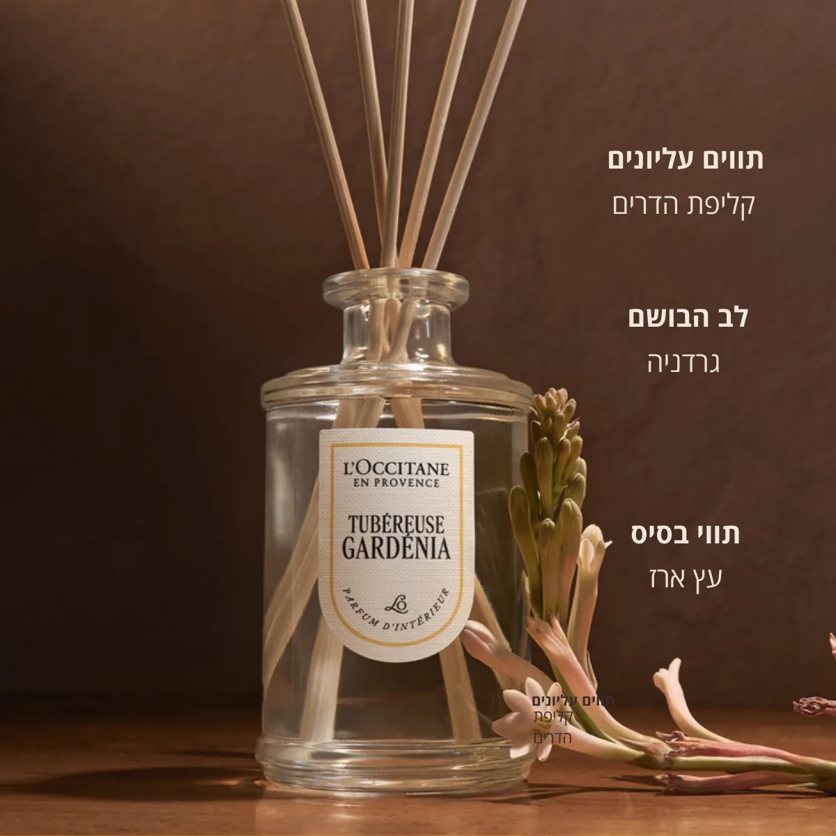 תמונה ממוזערת 2