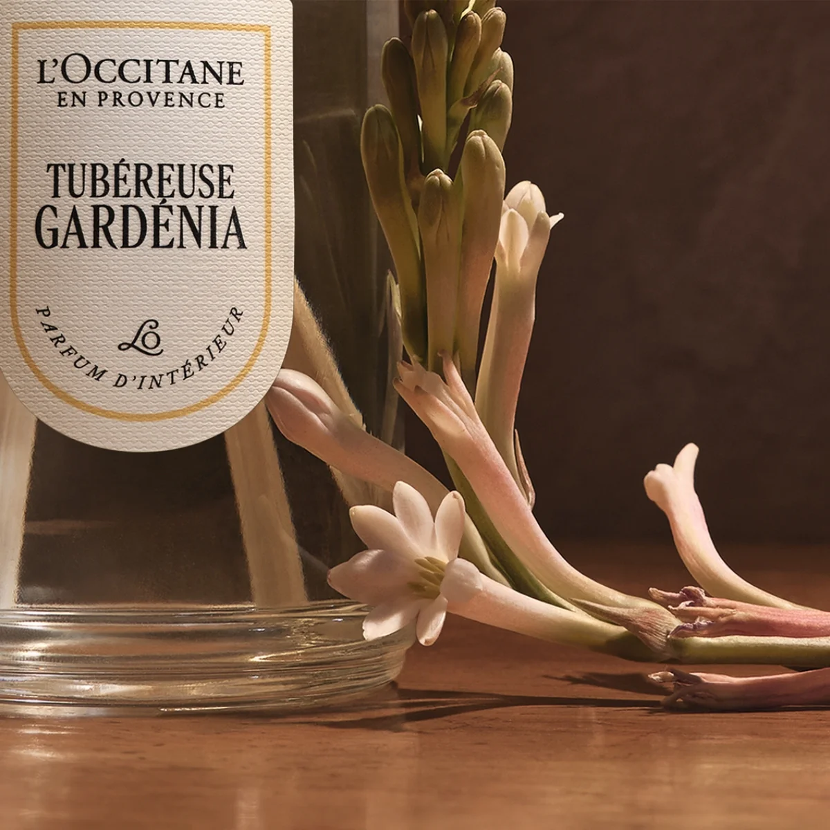 דיפיוזר לבישום הבית ענבר בניחוח גרדניה טוברוז - Image 3