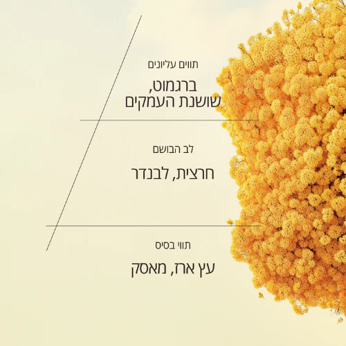 תמונה ממוזערת 2