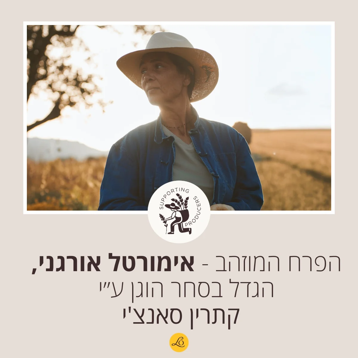 סרום פנים אימורטל Divine - Image 4