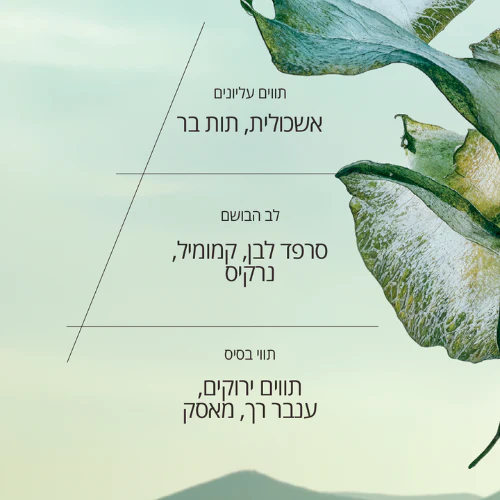 קרם ידיים מבושם סרפד לבן (אריזת נסיעה) - Image 4