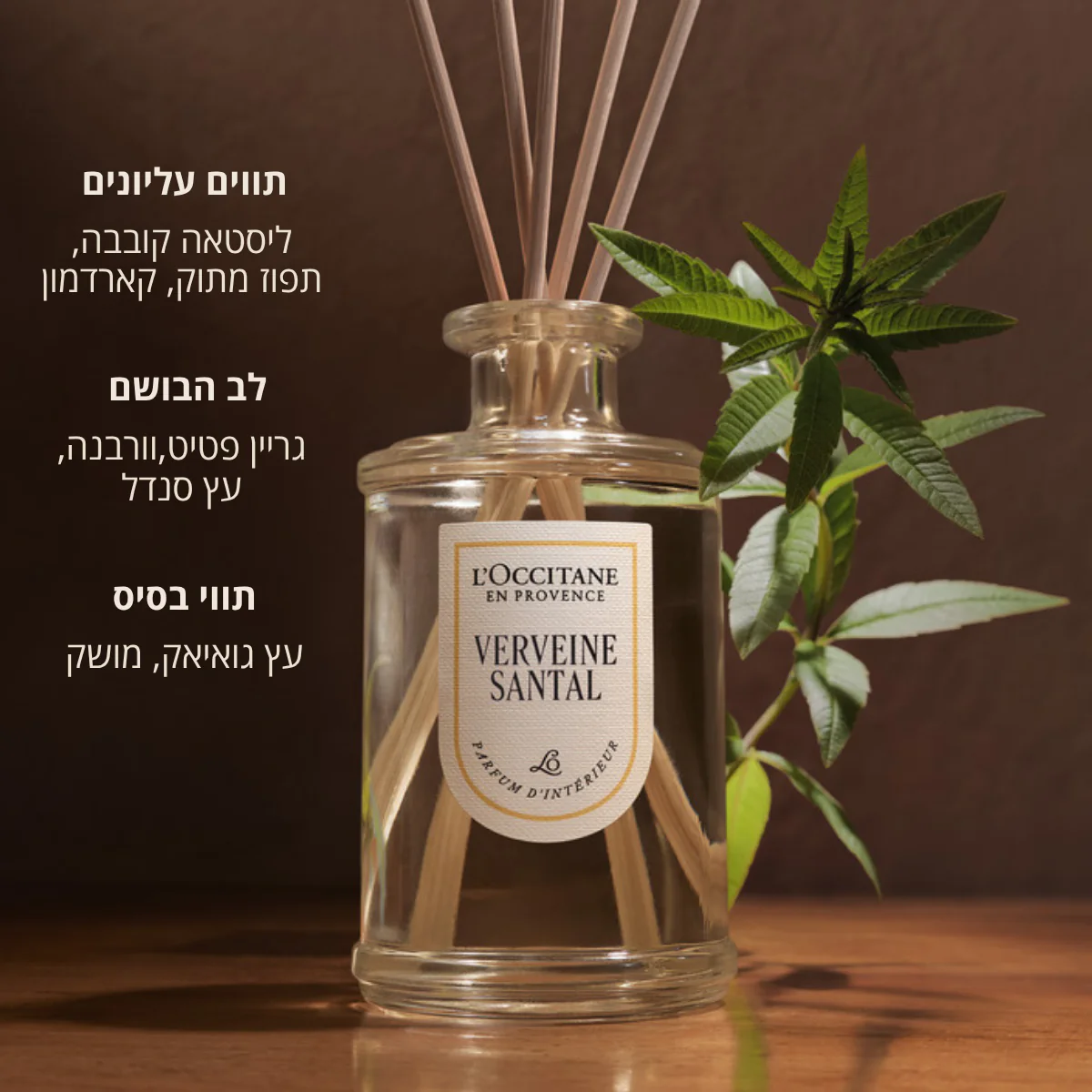 תמונה ממוזערת 2