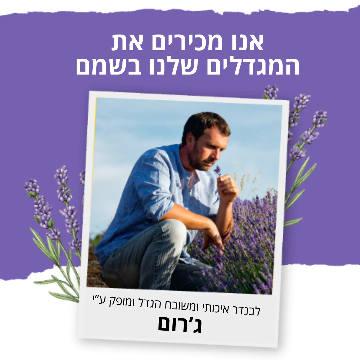 שמן אתרי לבנדר - Image 3