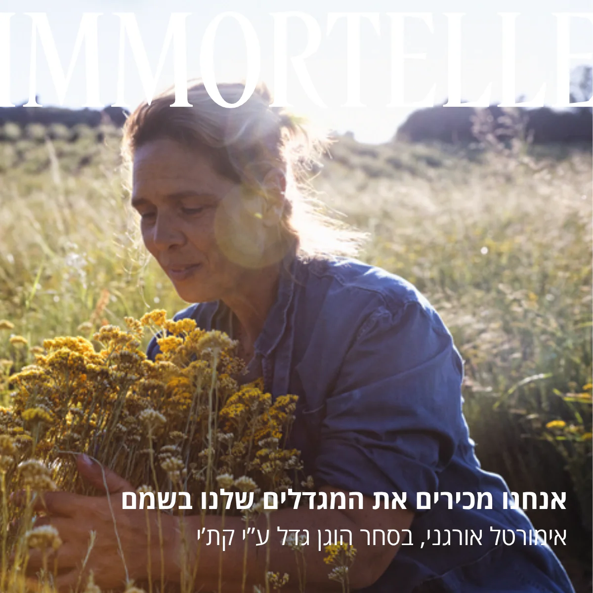 ג'ל רחצה לבנדר - Image 4