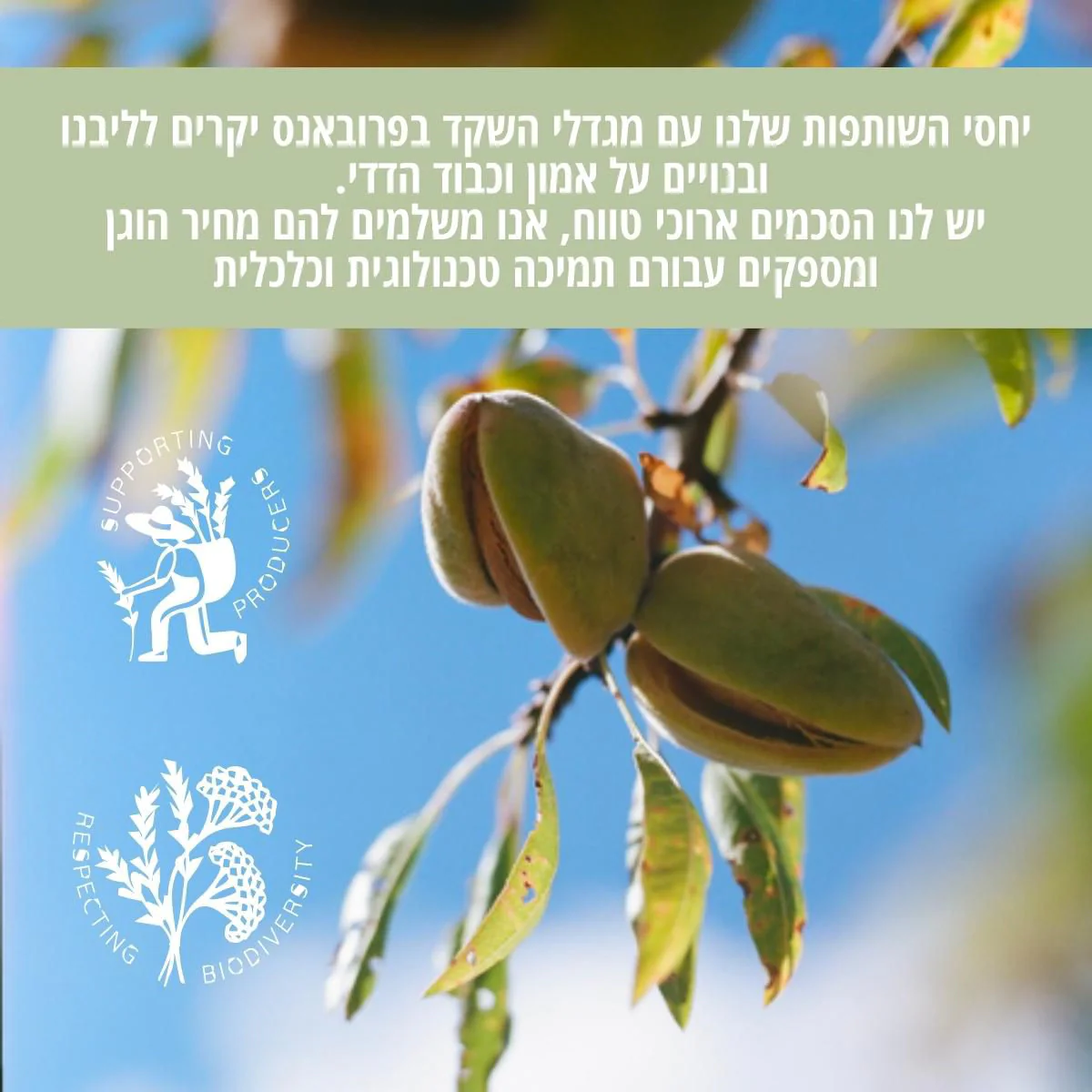 חלב אמבט שקדים - Image 4