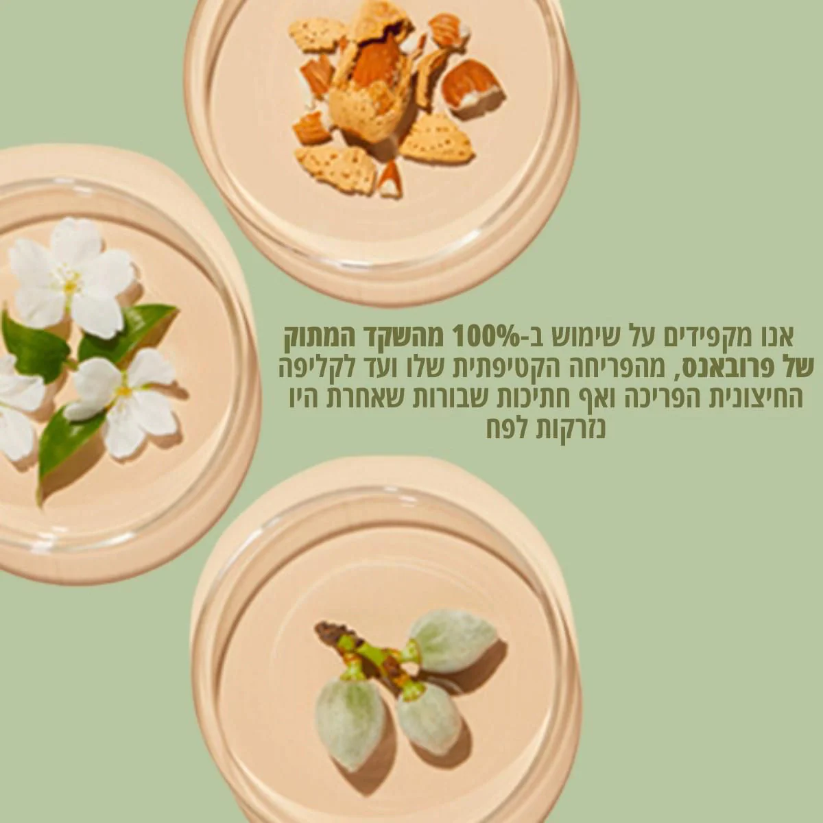 חלב אמבט שקדים - Image 5