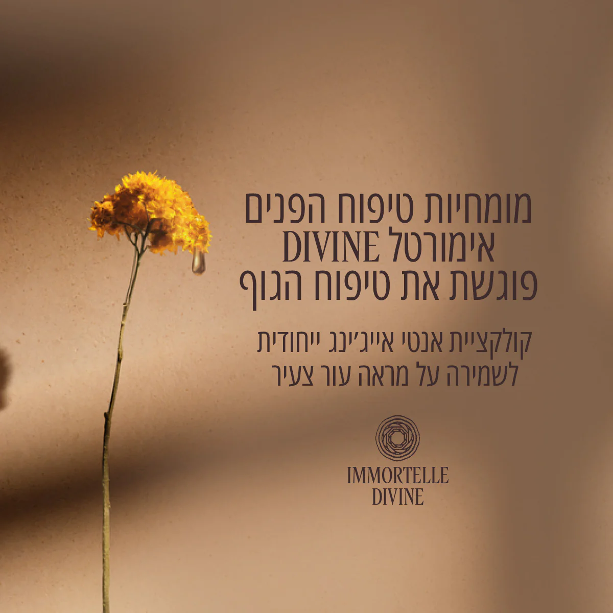 שמן גוף יבש אנטי אייג'ינג אימורטל DIVINE - Image 6