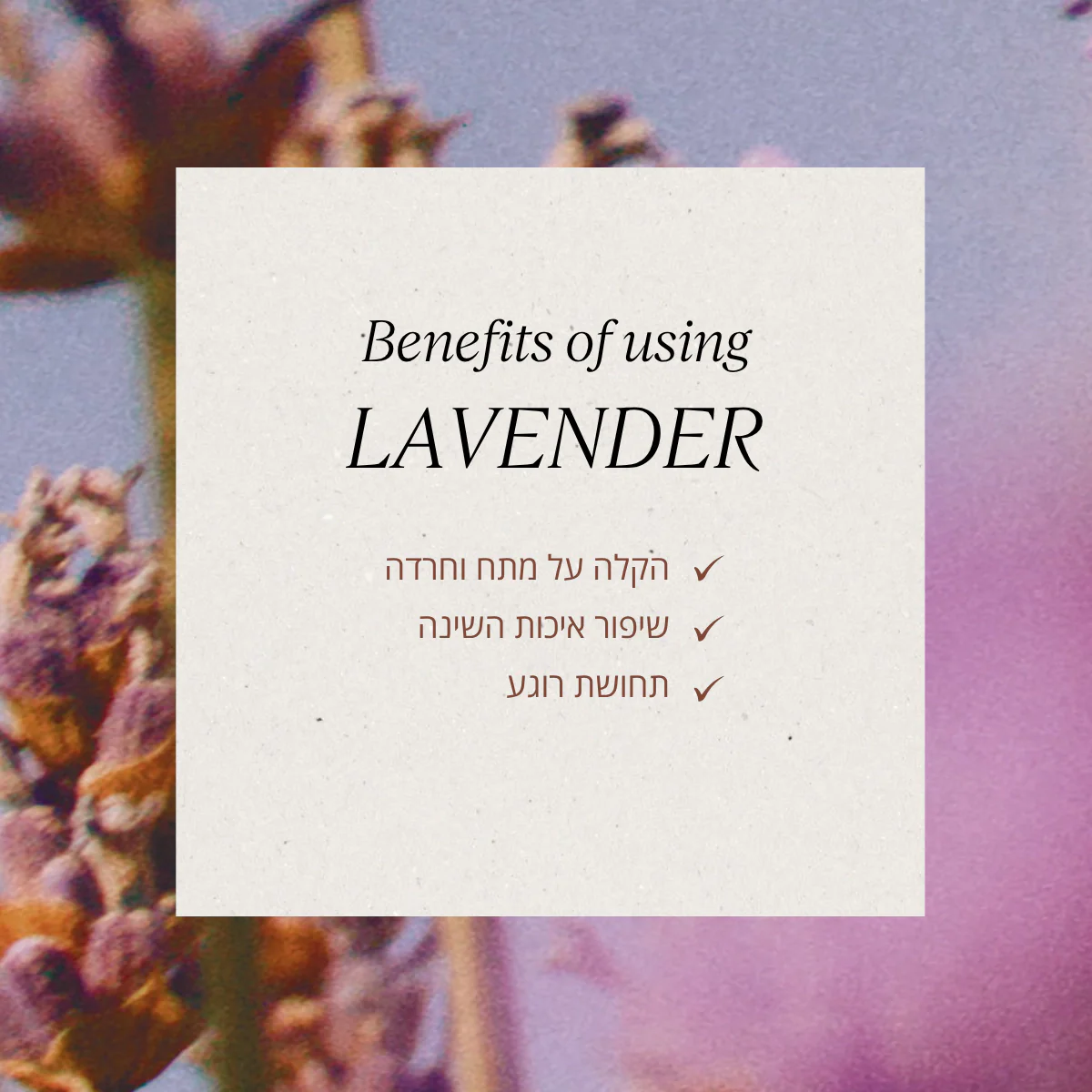 מארז מתנה בניחוח לבנדר מרגיע - Image 5