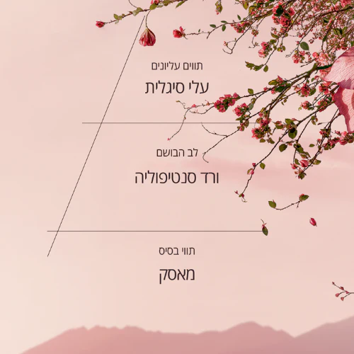 קרם ידיים מבושם ורדים (אריזת נסיעה) - Image 5