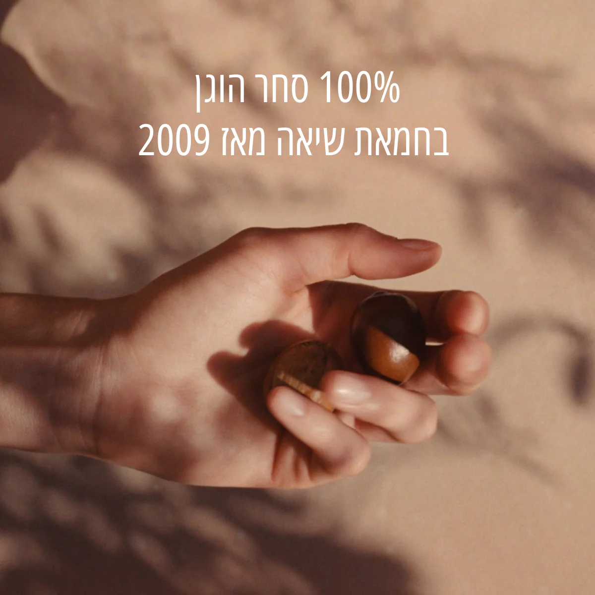 קרם לחות חלבי עשיר לגוף חמאת שיאה (אריזת חיסכון) - Image 5