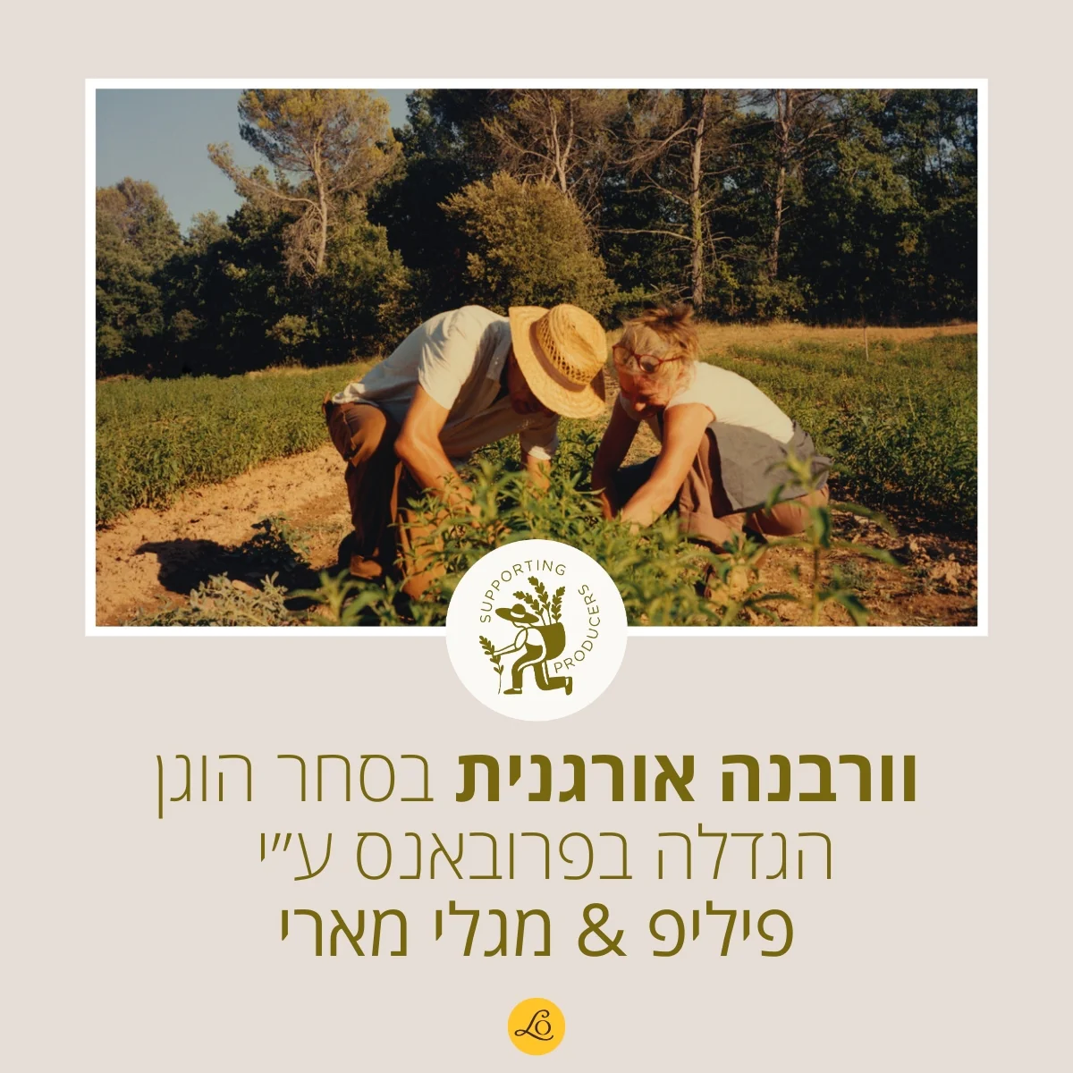 תמונה ממוזערת 2