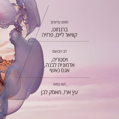 תמונה ממוזערת 2